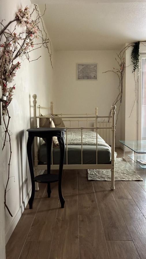 Appartement Sur Et Garage Au Stade De France A 2 Mn De Paris, 20 De Roissy Cdg Et 30 De La Defense Animaux Bienvenus 圣但尼 外观 照片